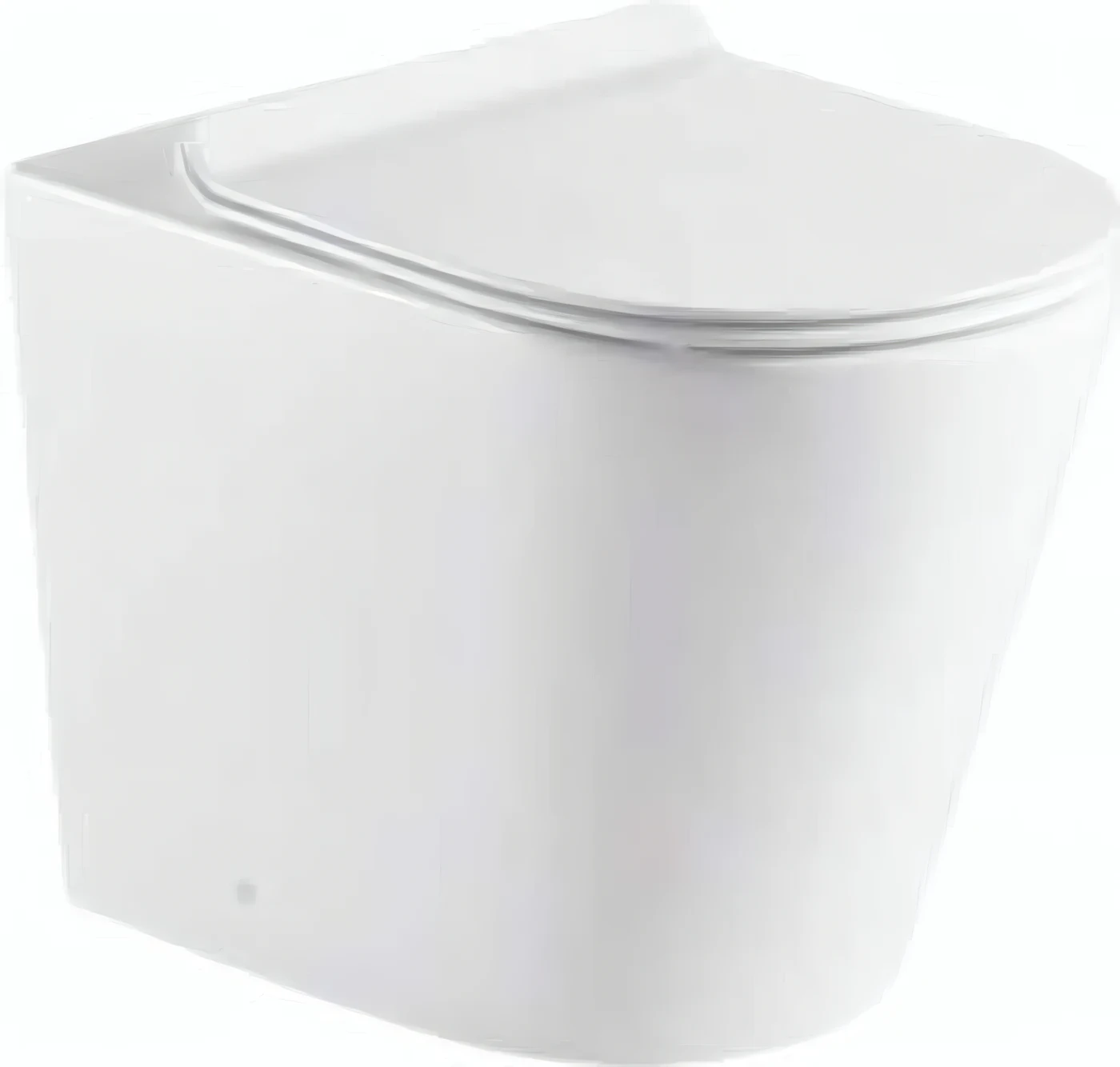 BACK TO WALL FLOOR MOUNTED Dune XL Back to Wall WC