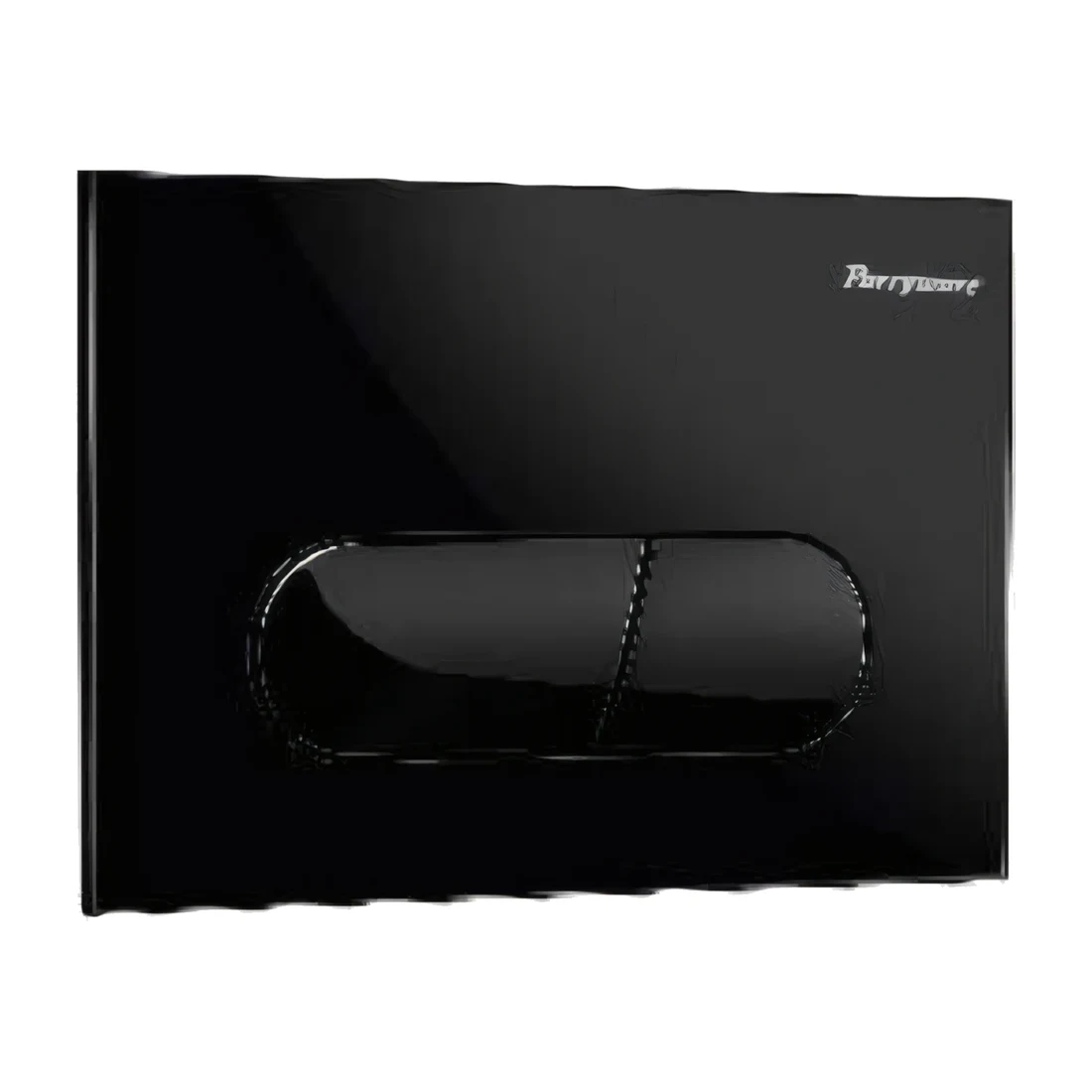 Active Oblong (Shiny Black) Flush Plate