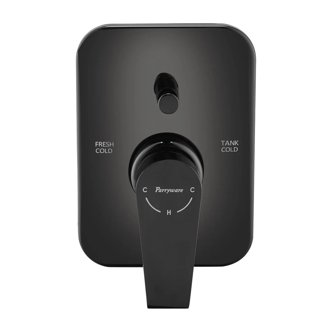 Praseo Concealed Diverter Upper Trim
