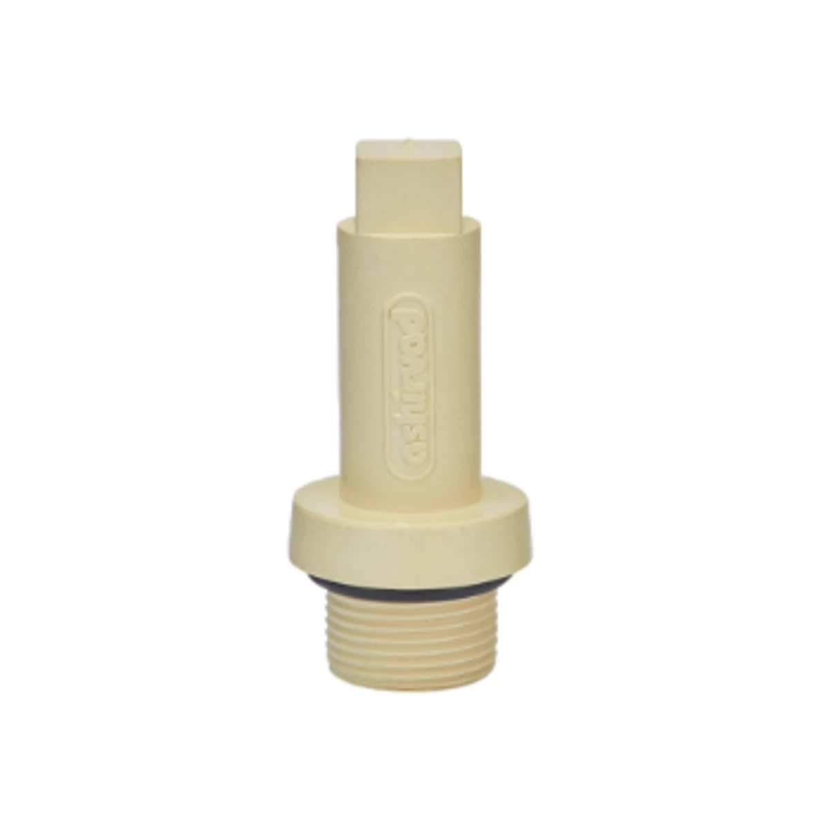 CPVC Threaded End Plug